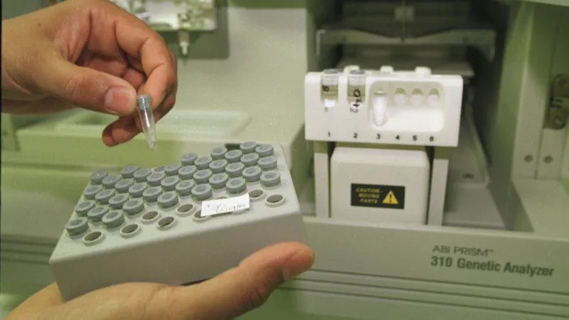 Gizmodo's tweet image. This popular DNA kit company just gave the FBI access to its database
gizmo.do/9lDzz7f