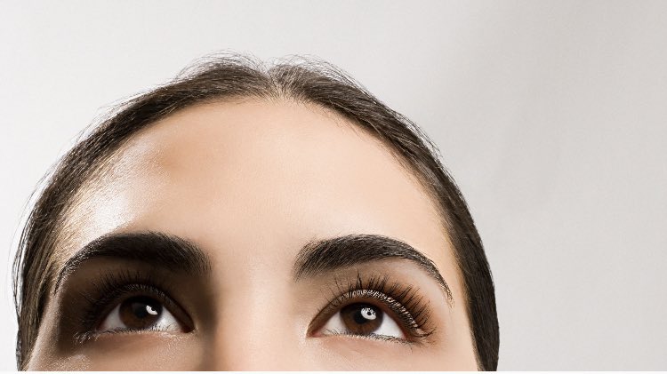 ECPNevadaMo's tweet photo. The space between your eyebrows is called the Glabella #ecpnevadamo #funfactfriday https://t.co/eQVOyO4l34