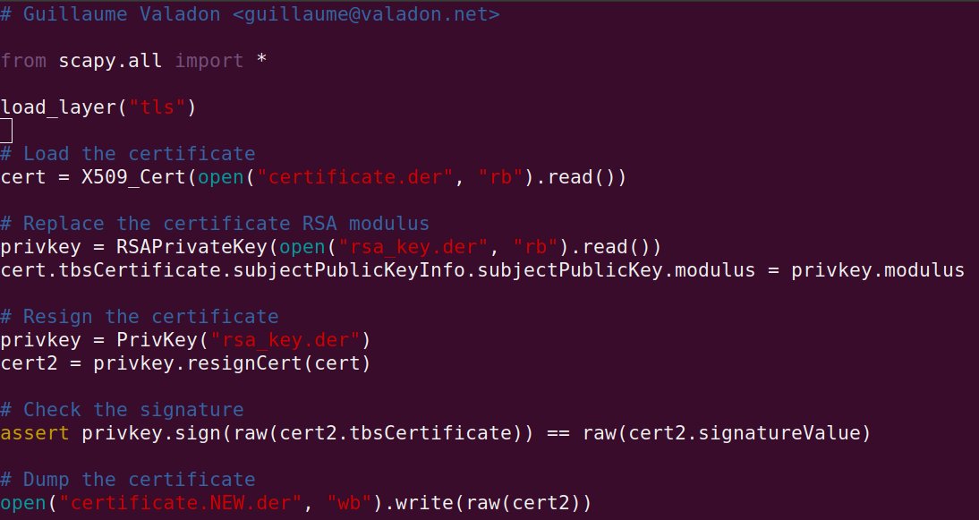 Replacing a public key from a certificate and resigning it, in less than 10 lines of Python thanks to #scapy