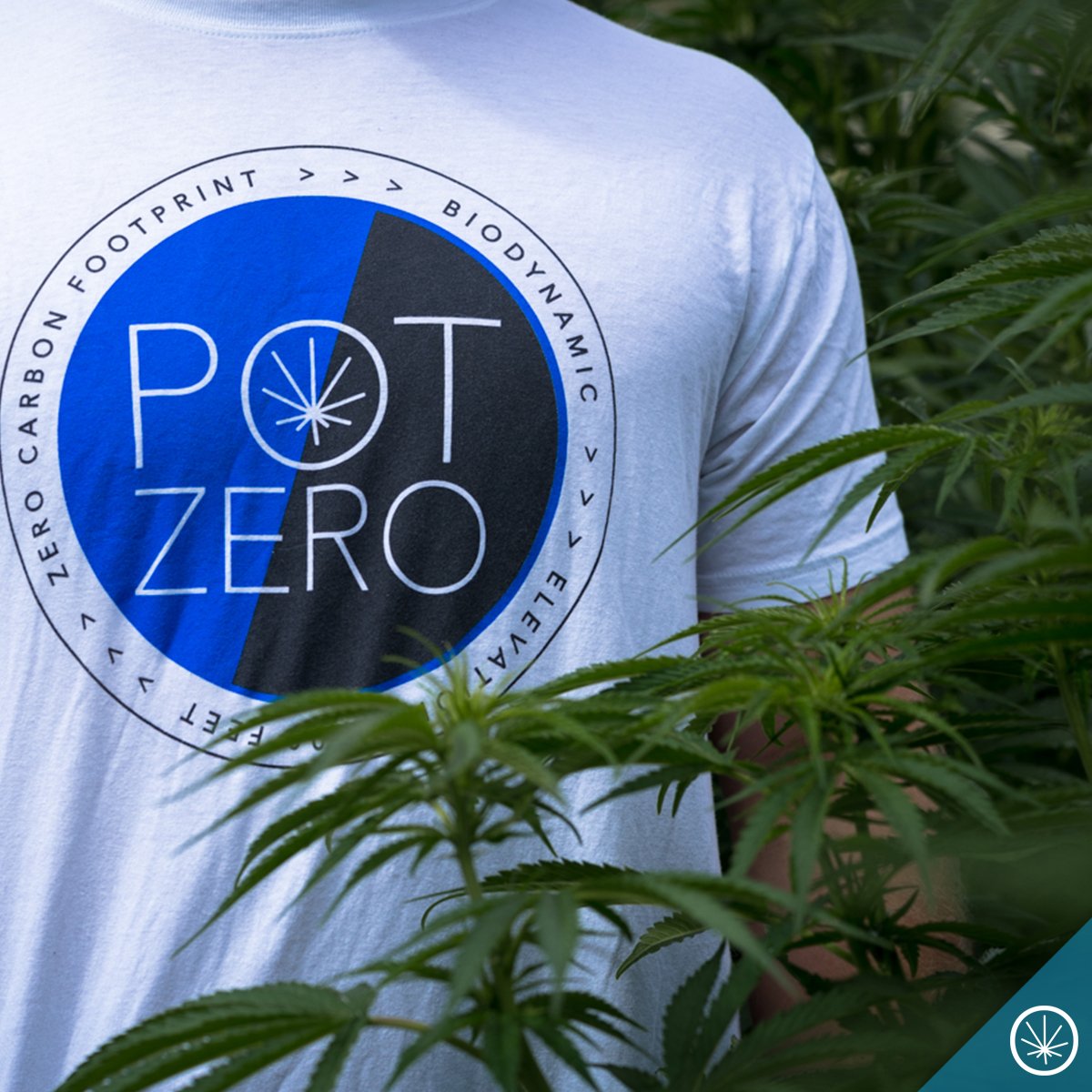 potzero420's tweet photo. We just want to take a moment to say Thanks. 🙏🏽
Thanks for believing in our mission to make the most environmentally conscious #marijuana products available in #Colorado and beyond! Your loyalty and support mean the world to us. 💚
Thank you #PotZero family! 💙 https://t.co/AJiRgyexm4