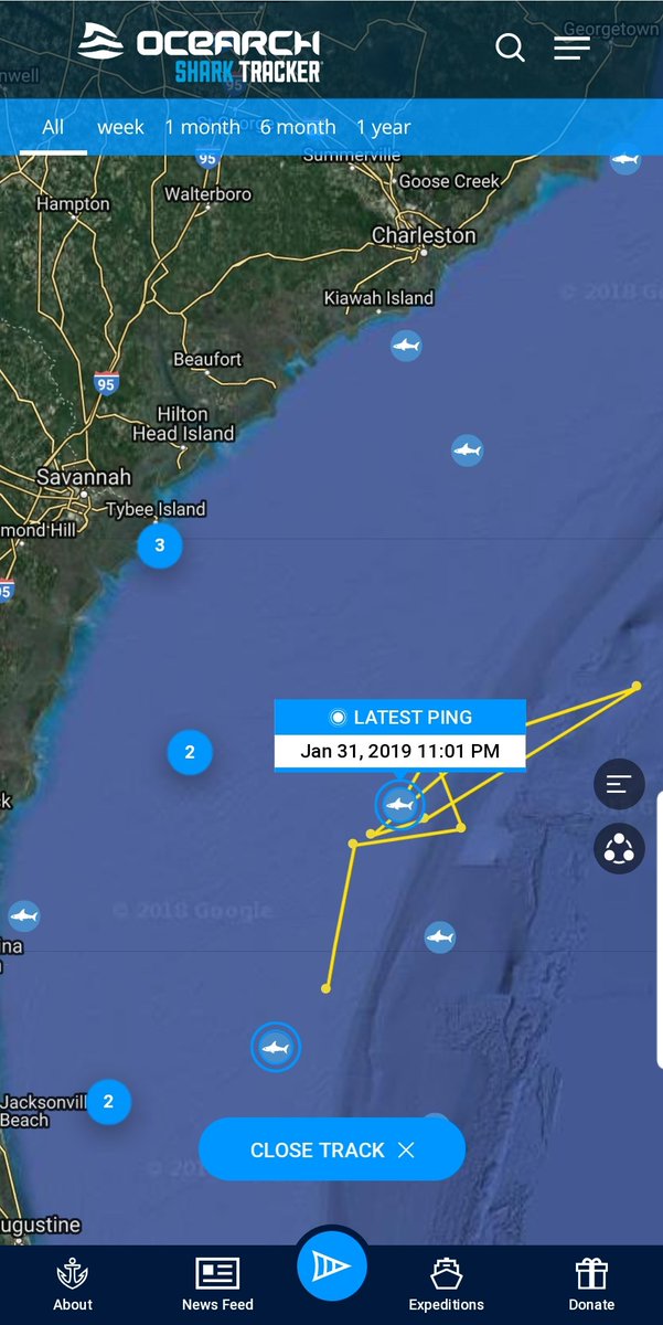 linds4fins's tweet photo. It's #SharkScienceFriday! A foraging area refers to a place where animals "are searching for wild food resources." The #NASFA is where white sharks can find the food resources they need to survive, mate, & reproduce so they can continue to maintain the balance of the food web. https://t.co/q0GDjBR9kL