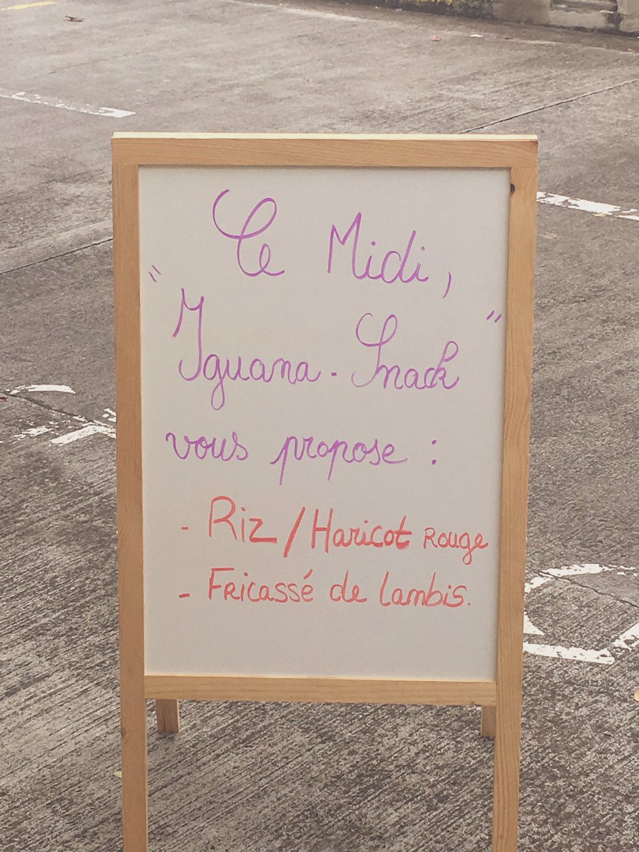 Iguana Locations (@iguanalocations) on Twitter photo 