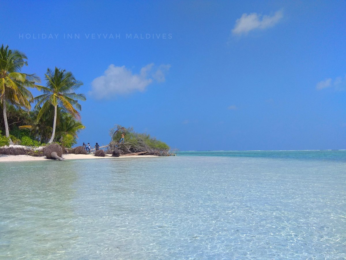 veyvah's tweet photo. Main excursion and activities.

- Surfing
- Reef Snorkeling trips
- Snorkel with turtles
- Sand bank trips
- Night fishing
- Candle light beach dinner
- Fishing trips
- Picnic trips to dessert island
- Local music night (boduberu)
- Dolphin cruise
- Berbecue https://t.co/HDDOeX2H3O