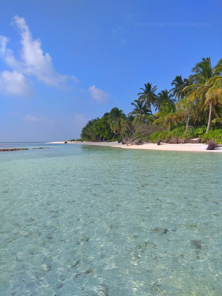 veyvah's tweet photo. Main excursion and activities.

- Surfing
- Reef Snorkeling trips
- Snorkel with turtles
- Sand bank trips
- Night fishing
- Candle light beach dinner
- Fishing trips
- Picnic trips to dessert island
- Local music night (boduberu)
- Dolphin cruise
- Berbecue https://t.co/HDDOeX2H3O