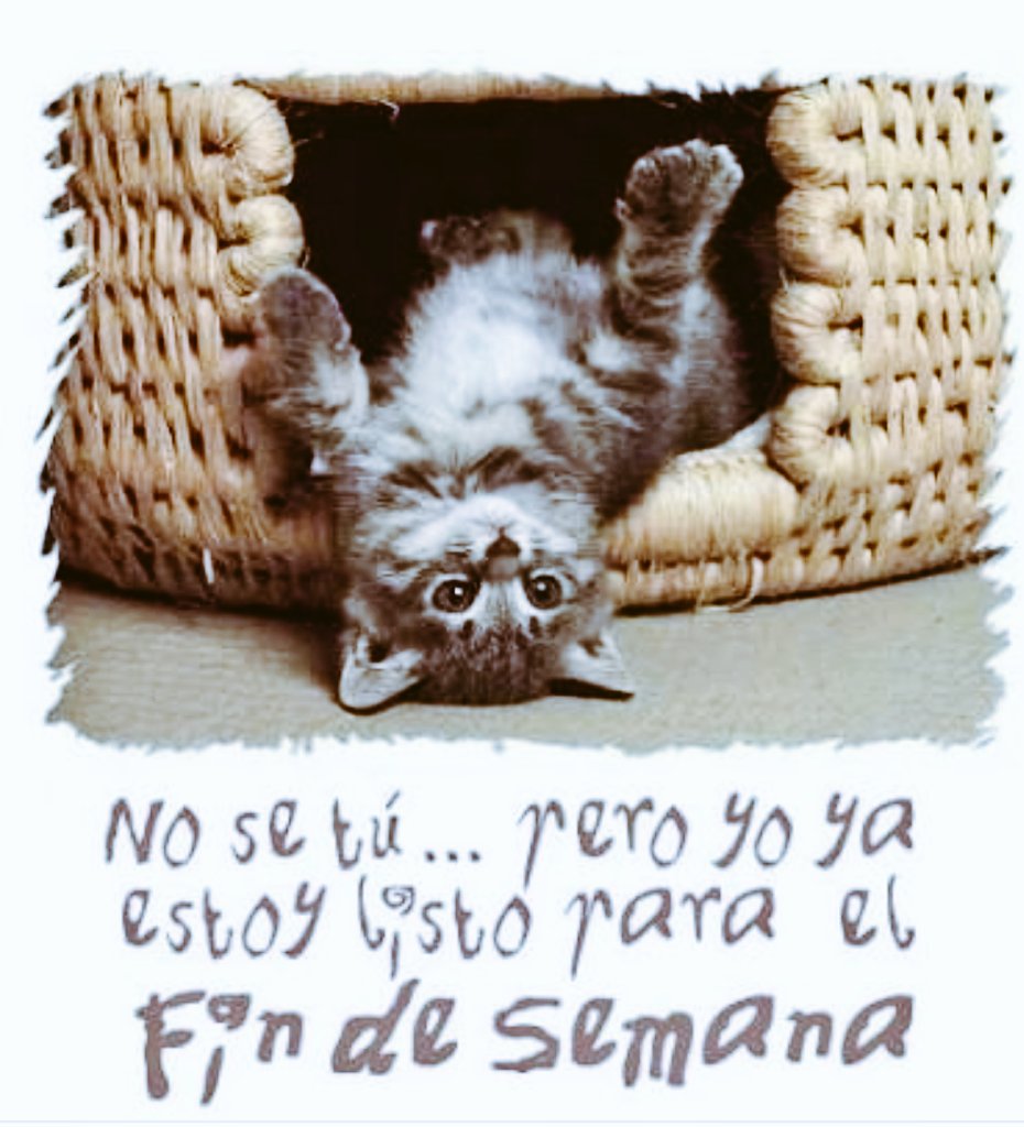 Adolfo61207372's tweet photo. #BuenViernes https://t.co/dwIjEgZIsH