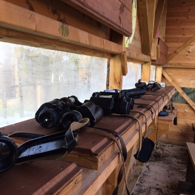 WorcsBRC's tweet photo. With the cold weather the birds are flocking to garden feeders. Here's some photos from our Winter Bird event Suckley Primary School. Lots of bird watching and lots of mess making orange fat ball feeders! #HLF #birds #malvernswildlife https://t.co/34Iudd9FEh