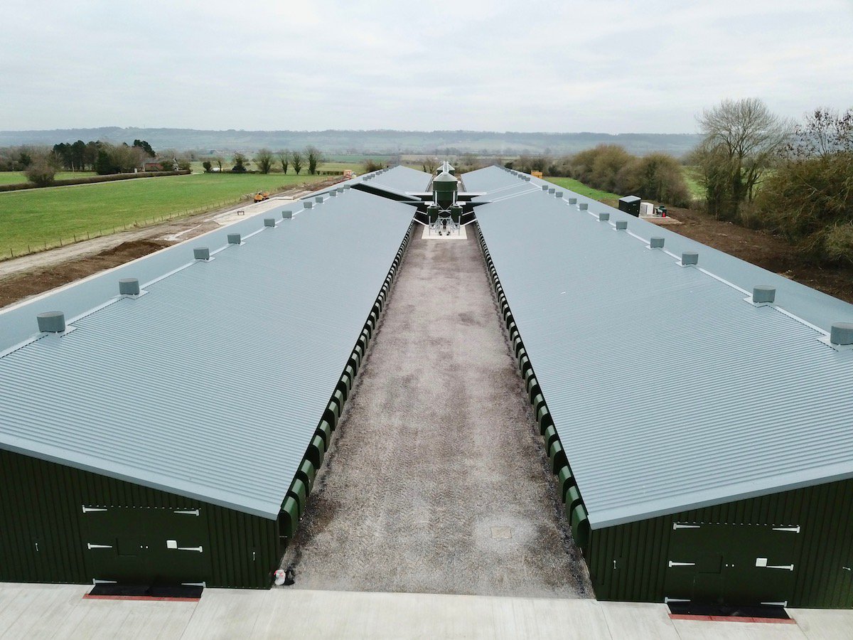 jaquesint's tweet photo. Recently completed broiler breeder poultry site in Wiltshire. Buildings by @JaquesInt, Groundworks by @ConnopConcrete Equipment by @VencomaticUK @CollinsonAgri @Climatecsystems @GreengageLight @PrinzenBV @KevinHowse3 @BenMcGillVenco @JasonDVenco @djinstallations https://t.co/fqhffJS0AX