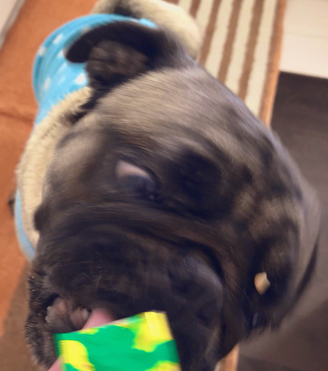 犬チュール 犬チュール