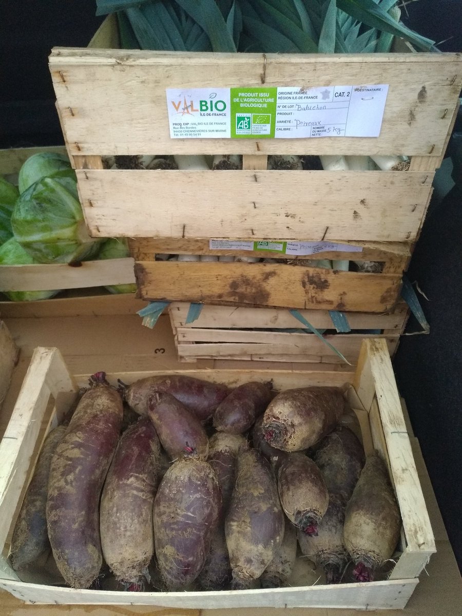 BaluchonEns's tweet photo. Bienvenue aux premiers légumes @reseaucocagne #ValBio @valdemarne_94 ! #bio #local #insertion #solidaire #BFF 🥔🥬 Vous reprendrez bien un peu de mousseline de carottes au cumin? service.client@baluchon.fr https://t.co/sGt8ozhWrD