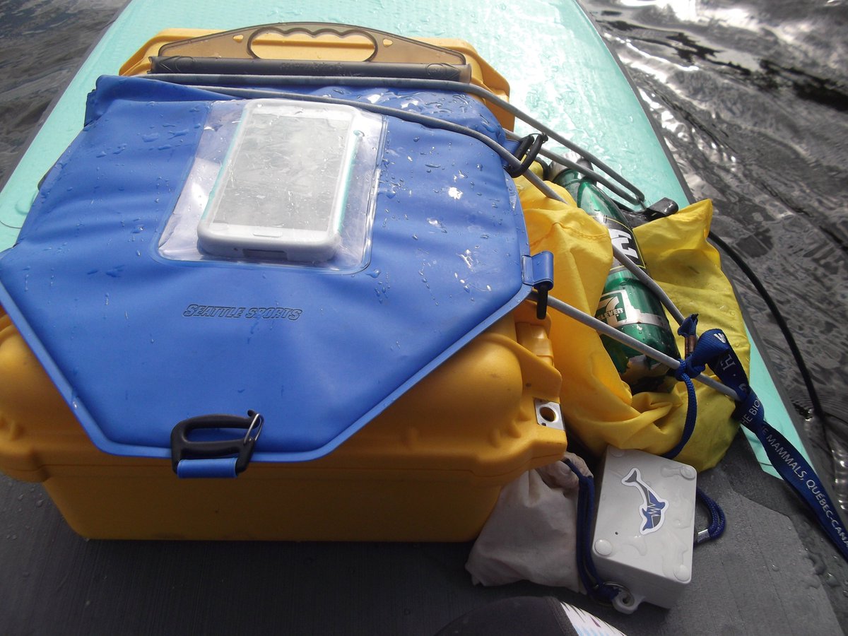 Cetalingua's tweet photo. Testing our #cetasript WebApp, it will allow #citizenscientists to collect behavioral, environmental and acoustic (#CetaKit with @Audiomoth) data every time they #paddle, #canoe, #kayak, #sail, #boat or even #snorkel ! https://t.co/tXBv7CpfTx