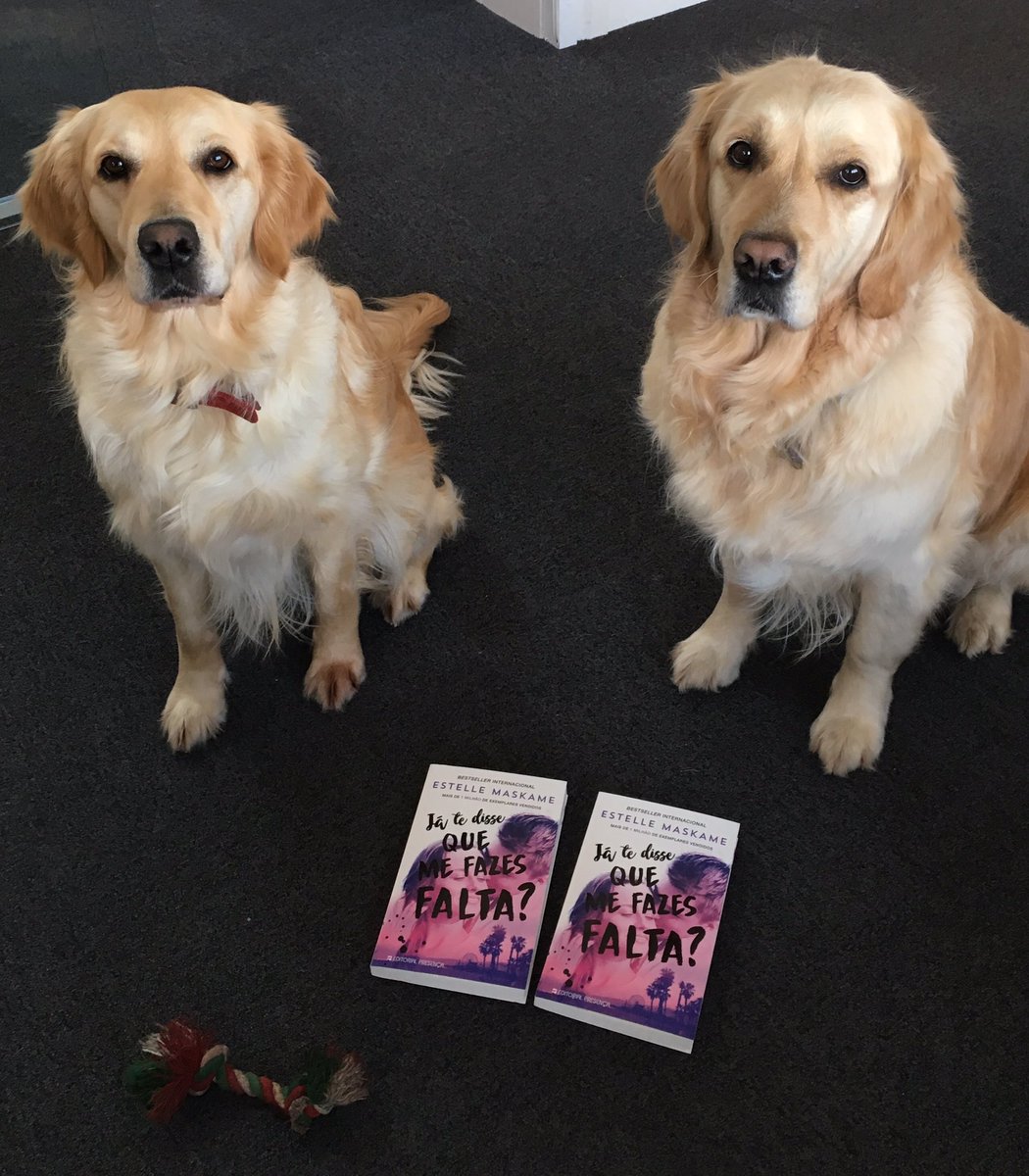 bwrightsdept's tweet photo. Leo and Arya proud to present the beautiful #Portuguese edition of #DIMIMY published by @Presenca 💕 https://t.co/Op4DCqaAdL