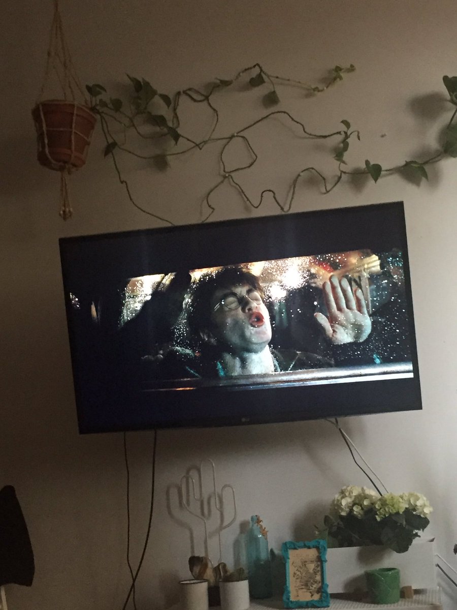 madulis's tweet photo. Nivel de felicidad: 3.000.⚡️❤️ https://t.co/Pb5GYgC4Ju
