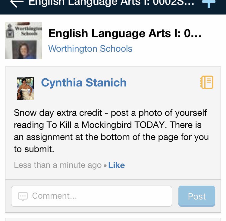 Cindy Stanich tweet media