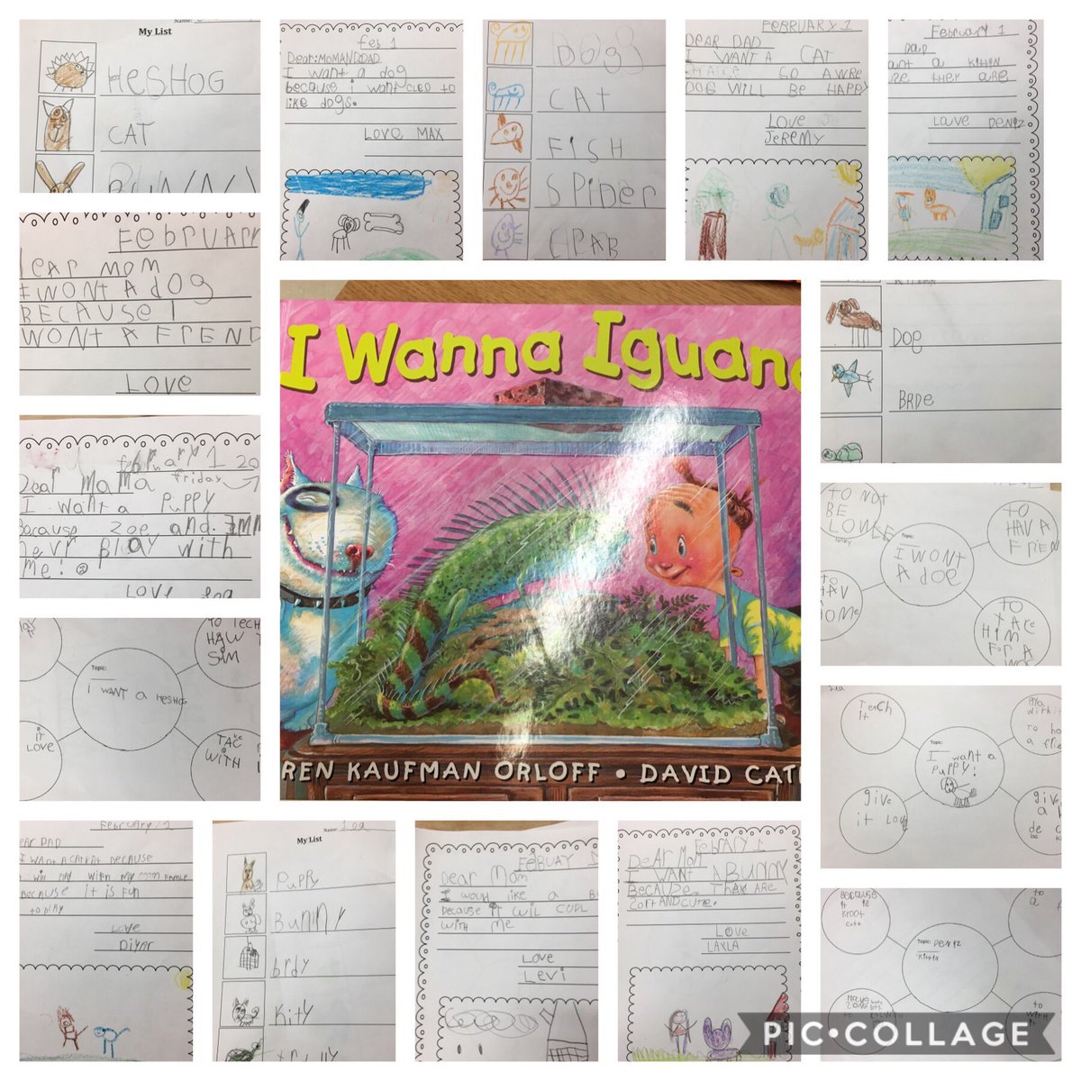 MsvanderHoff's tweet image. -spent 3 days @CleardalePS with a grade 1 class! We read “I wanna Iguana” then we made a list of animals we would want, created a graphic organizer of “why” and then we wrote letters home explaining what animal we wanted and why!#opinionwriting #listmaking #generatingideas 🐱🐶