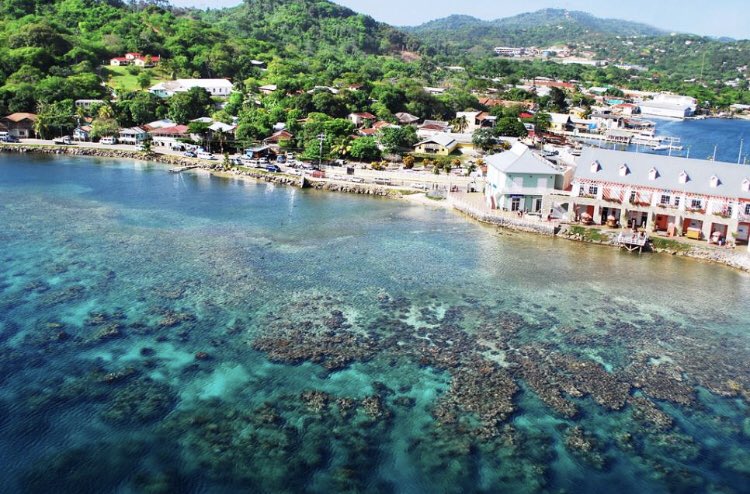 Aidan Buie tweet media