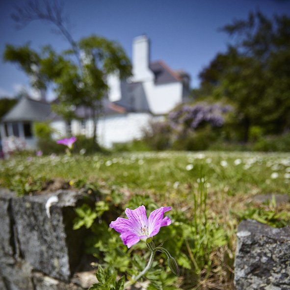 Ty_Newydd's tweet photo. Refining and Editing your Fiction | with #MavisCheek, #StephenMay, & #DarcyNicholson | 12 – 17 August 2019 | https://t.co/A6Kd1UI4iP https://t.co/c2XRUPOrvF