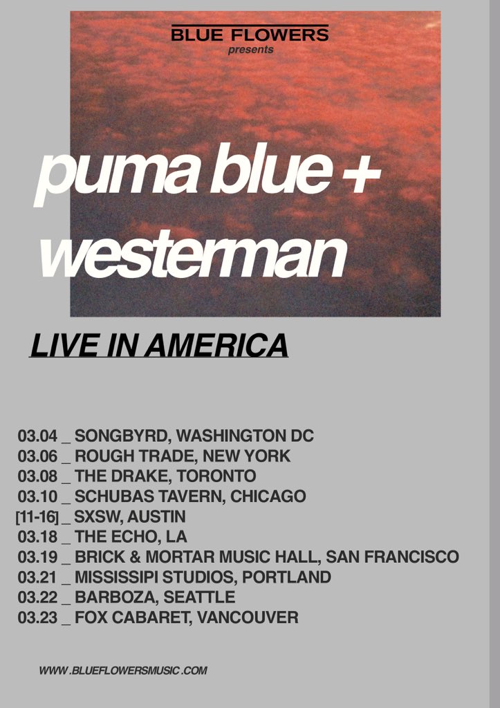 puma blue tour