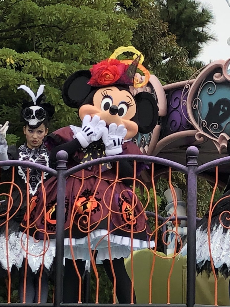 sweet solt 姉さん （solt＊） tweet media