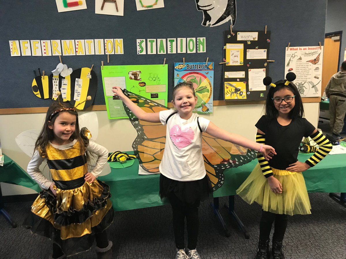 Roosevelt’s 2nd Grade Insect Gallery Walk!