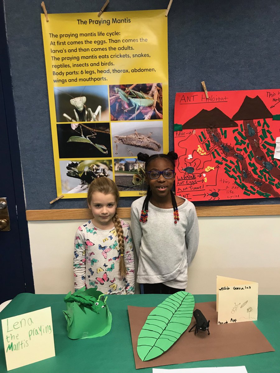 #Wbsdhuskies 2nd Grade Insect Gallery Walk!