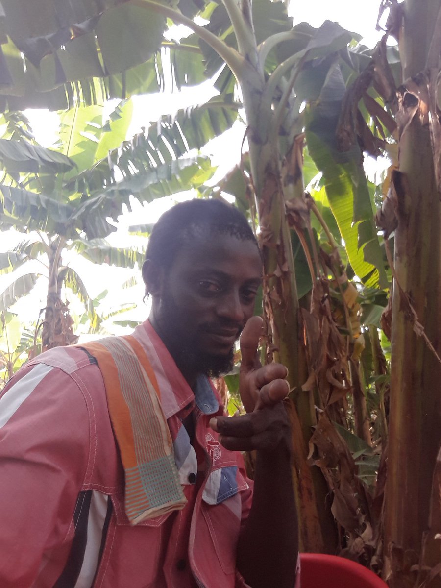 abankro_gh's tweet photo. Living large in the vegetation #y3duru b33bi #Ebinom klick #M7 https://t.co/5pAFvBKHvl