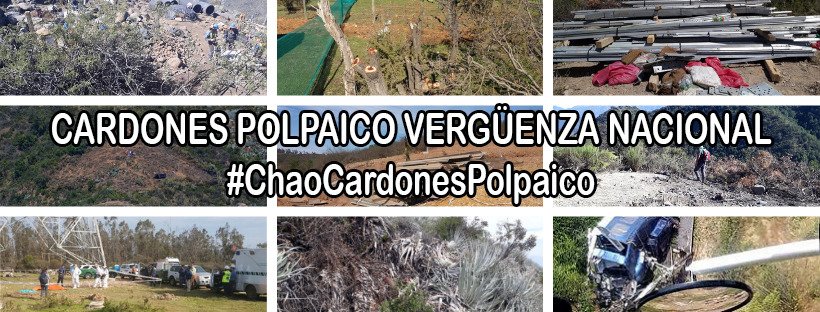SlvmoslaCampana's tweet photo. ⭕@TrAmbiental acogió la reclamación presentada por la #ComunidadAgrícolaLaDormida, el SEA debe volver a revisar la RCA del nefasto #CardonesPolpaico que ha causado estragos en la #ReservadelaBiosfera #CampanaPeñuelas ¿Se atreverán con #ChaoCardonesPolpaico? #SalvemosLaCampana https://t.co/N2lDAvM98Y