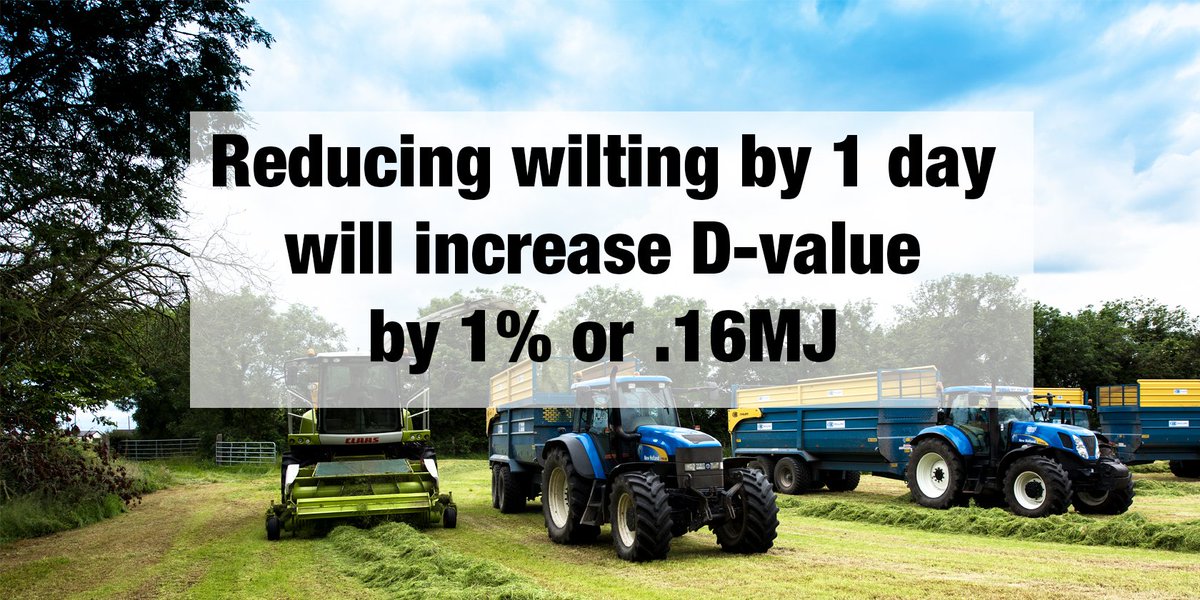 #4. Reduce in field wilting 
🔶 In moderate &amp; good wilting conditions grass loses 1 unit of D-value/day

<a href="/ecosyl_/">Ecosyl</a> <a href="/GerminalUKAgri/">Germinal GB</a>
#TeamDairy #BritishAgri #BritishDairy #GrasstoMilk #KnowledgeAdvances #CuttoClamp #5for500