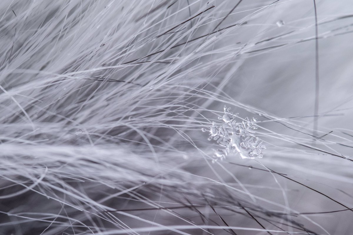 ImagineKaye's tweet image. It keeps on snowing but it’s not cold enough to stay! 💔💔