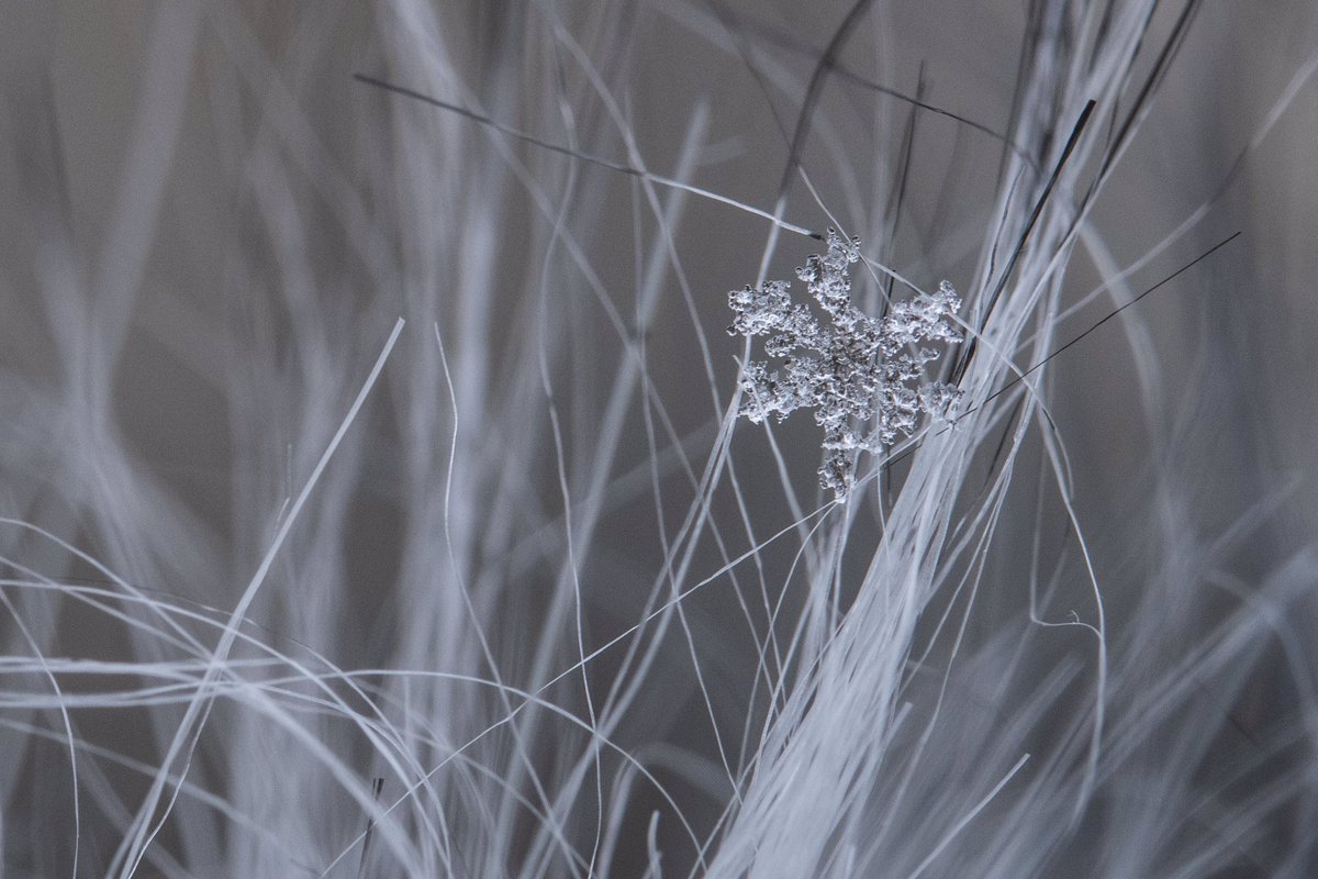 ImagineKaye's tweet image. It keeps on snowing but it’s not cold enough to stay! 💔💔