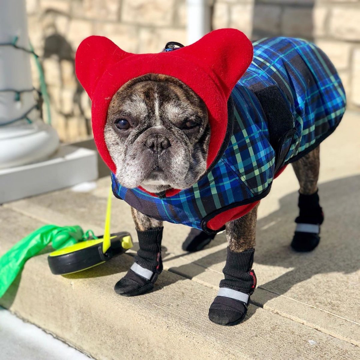 snorfindustries's tweet photo. If you think I’m stepping off this porch, you’re kidding yourself #polarvortex #negative20 #dontletthesunshinefoolyou
•
IG: @ktandwally
https://t.co/0TqejuiahV https://t.co/oF7bUEH7jn