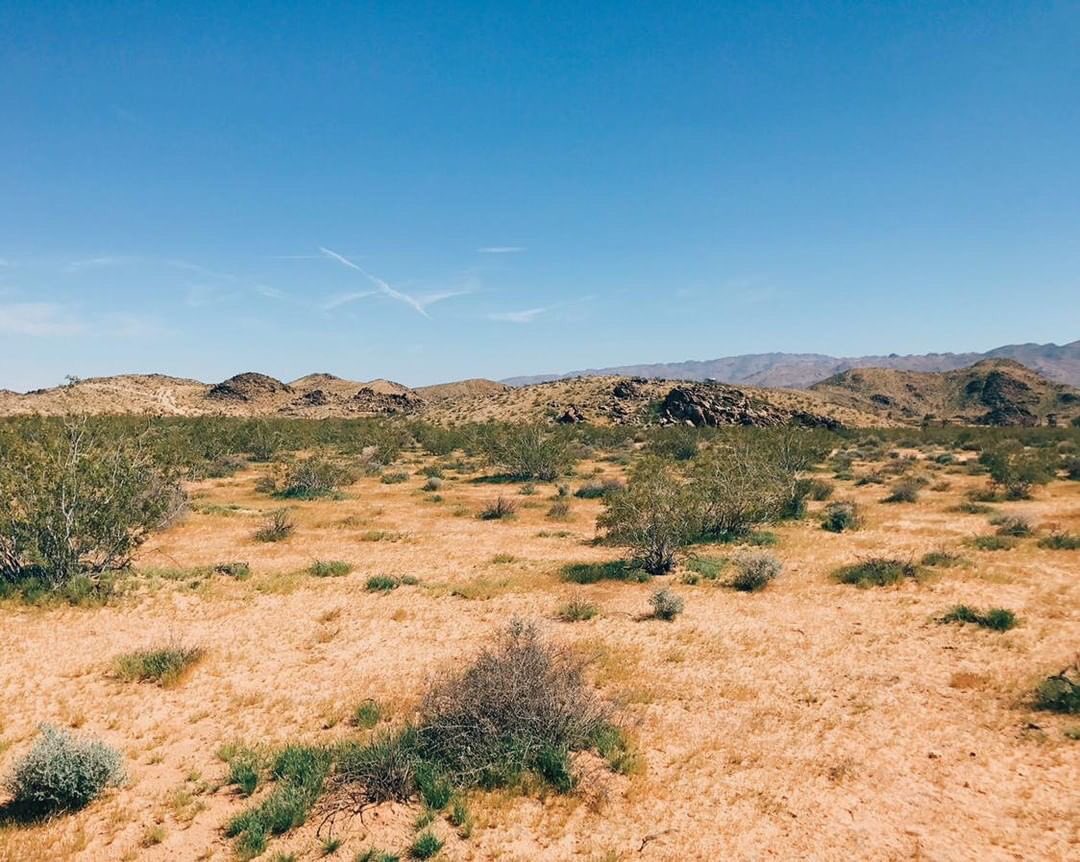 LaurenGlasses's tweet image. 🏘 #ListingOfTheDay 

🏜The parcel number is 0605-351-04-0000, it’s a 2.5 acre corner lot zoned residential in Joshua tree at the corner of center and Lancaster streets. #BuildYourDream 

Offered at $35,000 💸

#JTRealEstate #DesertRealEstate #LandForSale #HipsterHood