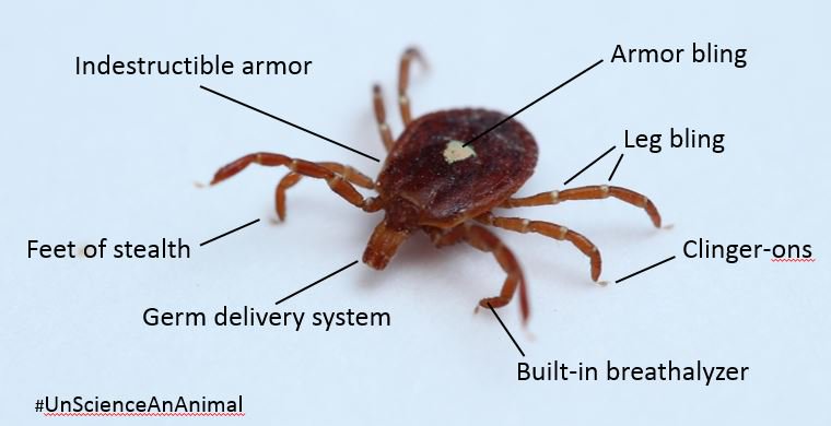 I couldn't resist. #UnscienceAnAnimal #ticks