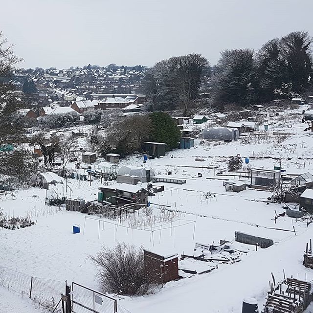 Amybackstage's tweet photo. Obligatory snow pic! Well, we have got a great view and I didn't have much choice but to work from home today. ❄☃️ I love a bit of snow! 
#snowday #workfromhome #businessowner #snow #chilterns #snowing #snowedin https://t.co/8ThT2u6byo https://t.co/SWOxhWa42o