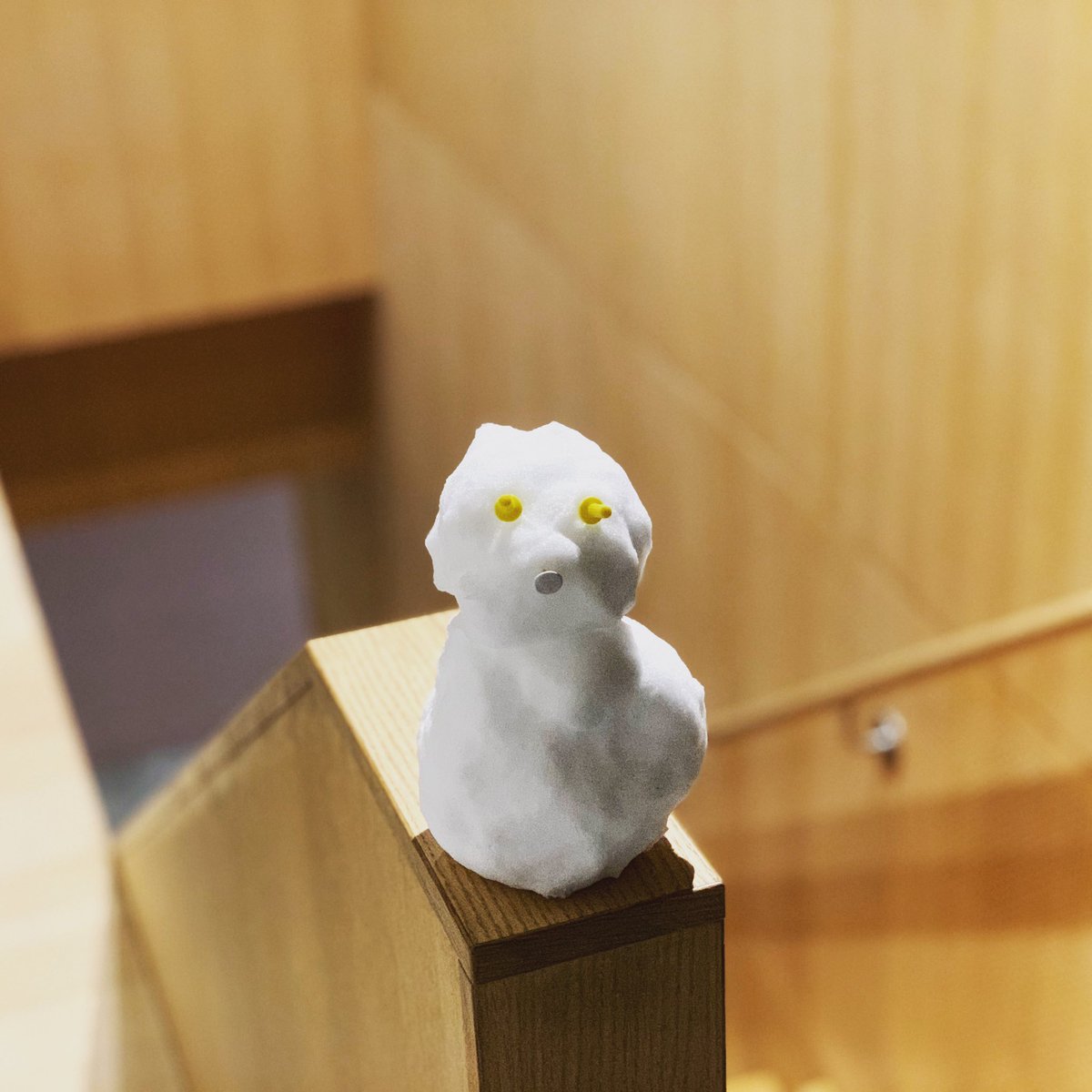 Nakamura_Daichi's tweet photo. off to Japan from white Brussels.

#yukidaruma #offtojapan

結構な大雪だったので雪だるま。 https://t.co/NBaYOYtOwI