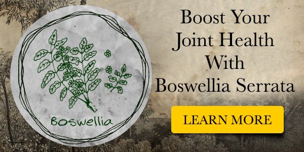 Instaflex Advanced tweet media