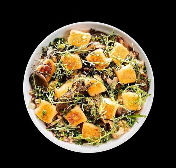 TOCateringShow's tweet photo. .@FoodDudes' potato dumplings with chicken gravy, cracklin and mushroom is truly artistic ingenuity in a bowl! https://t.co/qJtEO3yoLe