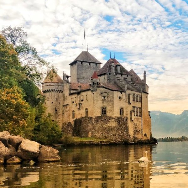 myswissalps's tweet photo. Sumi wrote about her first trip to #Switzerland. She covered Mount #Titlis, the #GlacierExpress, #Schilthorn, #GoldenPass train, #Gornergrat, the #RhineFall and the #Lavaux vineyards in 11 days.
Read it here: https://t.co/Cb5me3m8e3 https://t.co/Bp5oZGAIMV