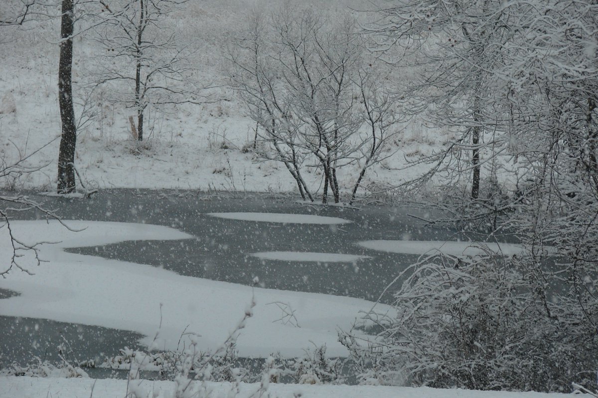 wendy_barth's tweet image. #icepatterns on the pond #ice #marylandwinter