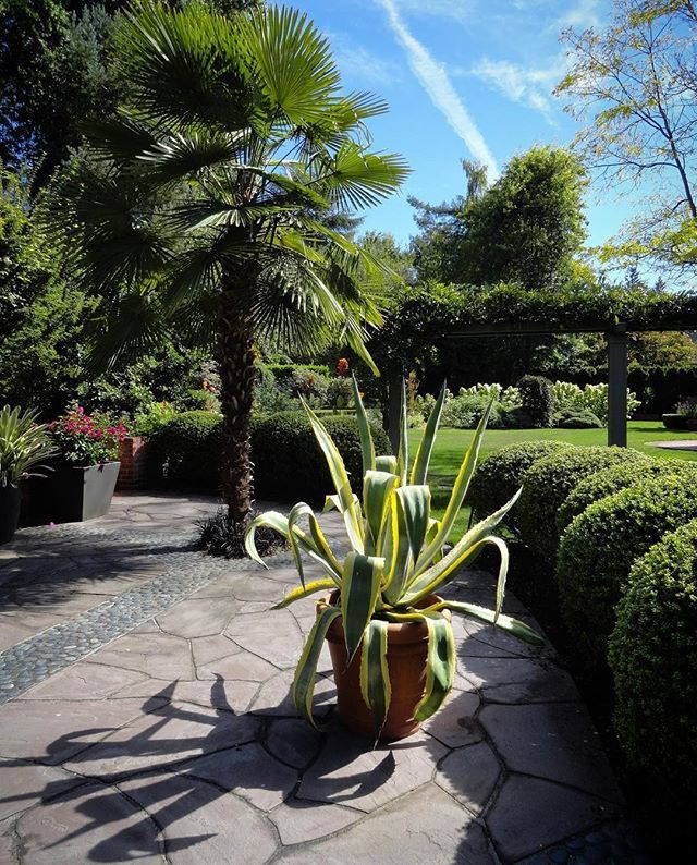 HardyPlantOR's tweet image. How’s that for a tantalizing summer scene? Registration opened today for our Study Weekend event in June, and yes this garden will be open as part of the festivities. More info and registration on our website, link above in profile.
#studyweekend #hpsost… bit.ly/2sZbJUj