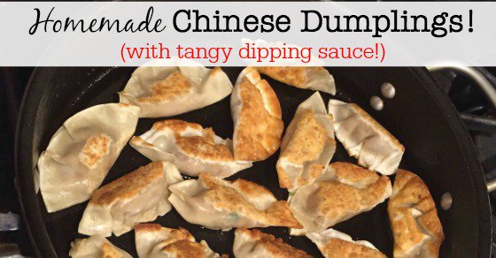 Homemade Chinese Dumplings (that your kids will love!)  momof6.com/food-kids-will…