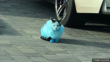 View image on Twitter