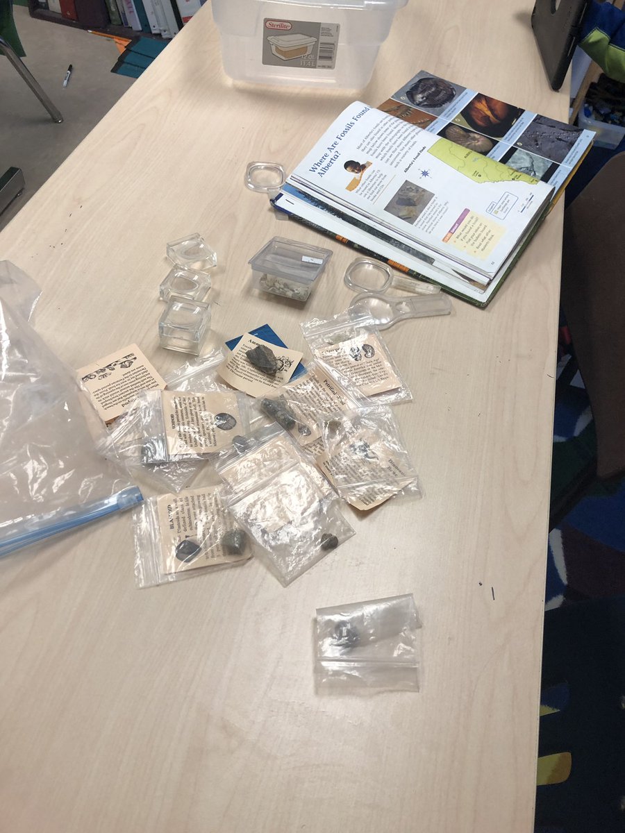 alangfor01's tweet image. Hands on learning with a fossil dig in honour of Alberta’s fossil history. Students record info on Popplet, take video and pictures, dig, assemble, VR, Merge Cube, Epic Books, AR, examining real fossils #engaged #AugmentedReality #MergeCube