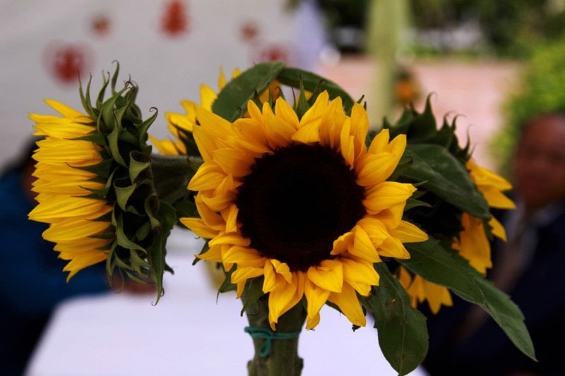 CardMachineDAL's tweet image. Valentine’s Day is right around the corner &amp;amp; we know the perfect place for you to buy your flowers! Visit our customers California Flower Depot at 769 Wall St in Los Angeles, California for all your floral needs!💐🌸