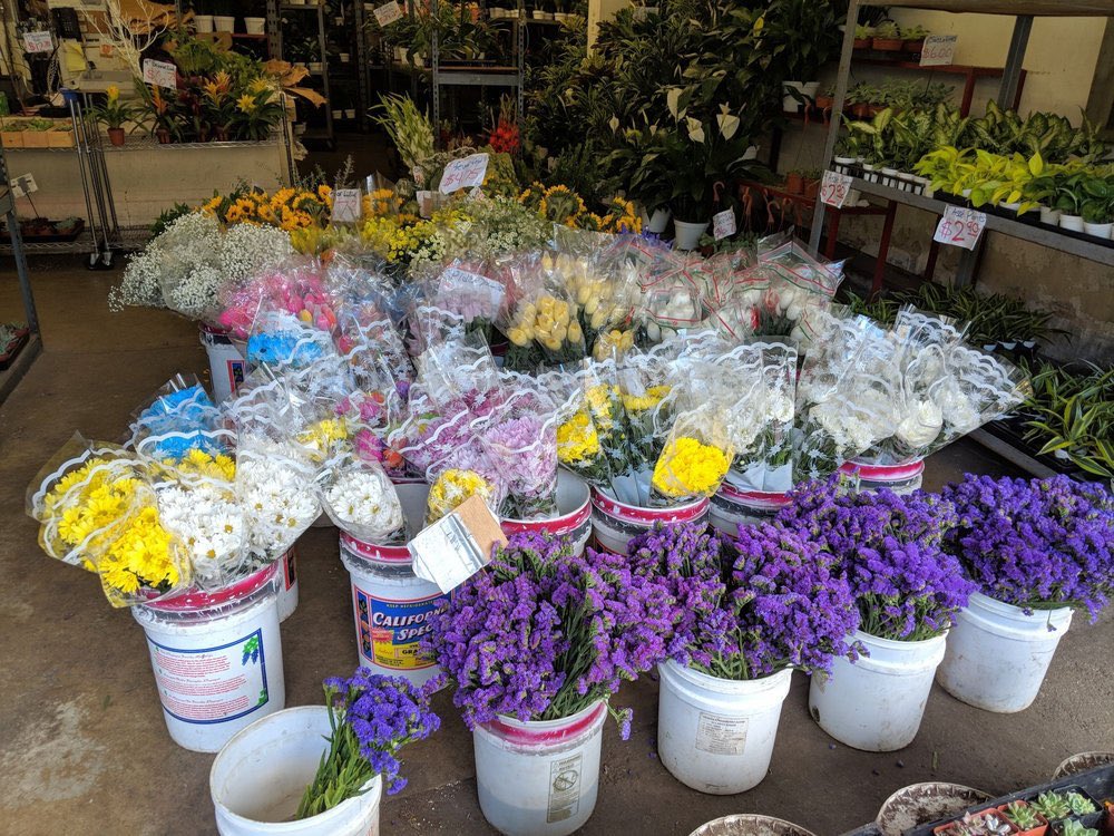 CardMachineDAL's tweet image. Valentine’s Day is right around the corner &amp;amp; we know the perfect place for you to buy your flowers! Visit our customers California Flower Depot at 769 Wall St in Los Angeles, California for all your floral needs!💐🌸