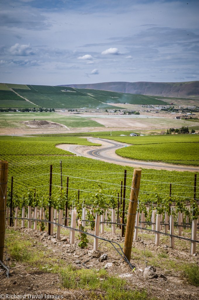 Sometimes we need to take the road less traveled. It gives us peace and perspective. <a href="/Wa_State_Wine/">Washington Wine</a> <a href="/WINESofWA/">WINES of WASHINGTON</a> <a href="/yakimavalley/">Yakima Valley</a>