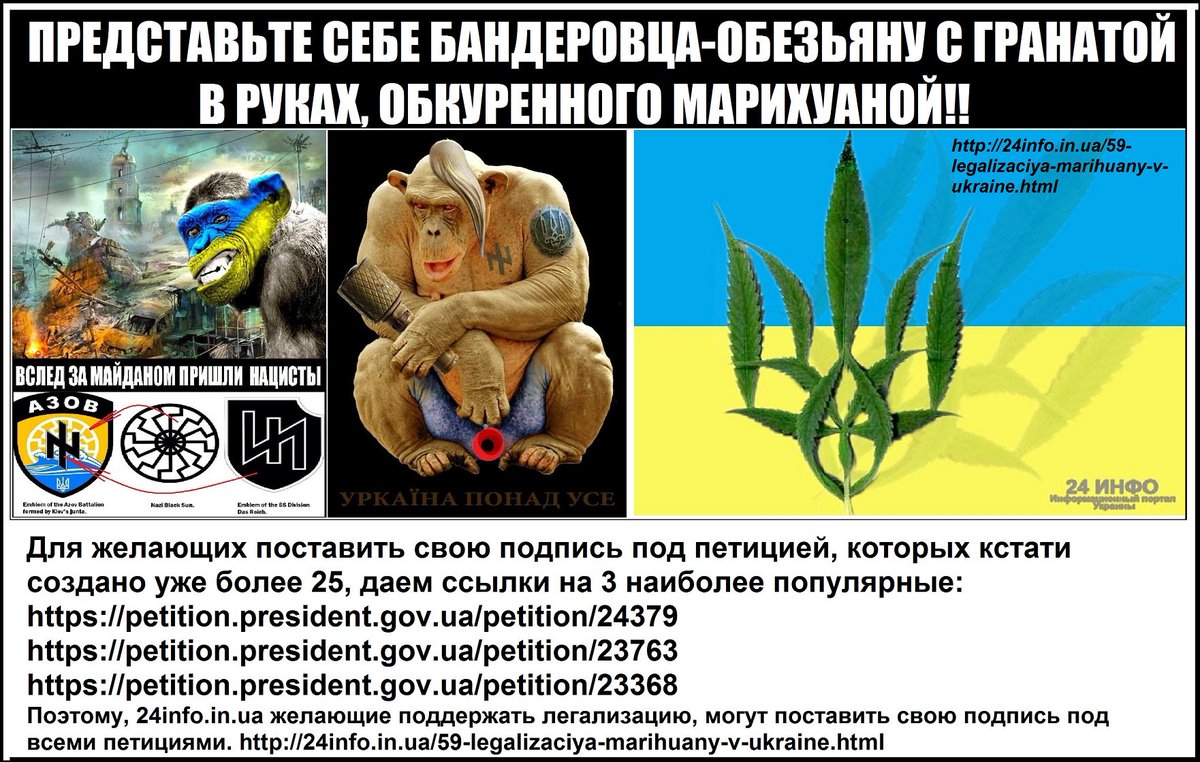 Нельзя легализовать марихуану Нельзя легализовать марихуану интересные факты из марихуаны