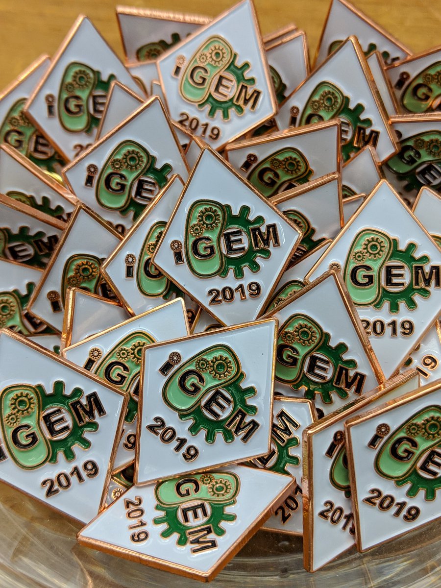 So shiny! #iGEM2019