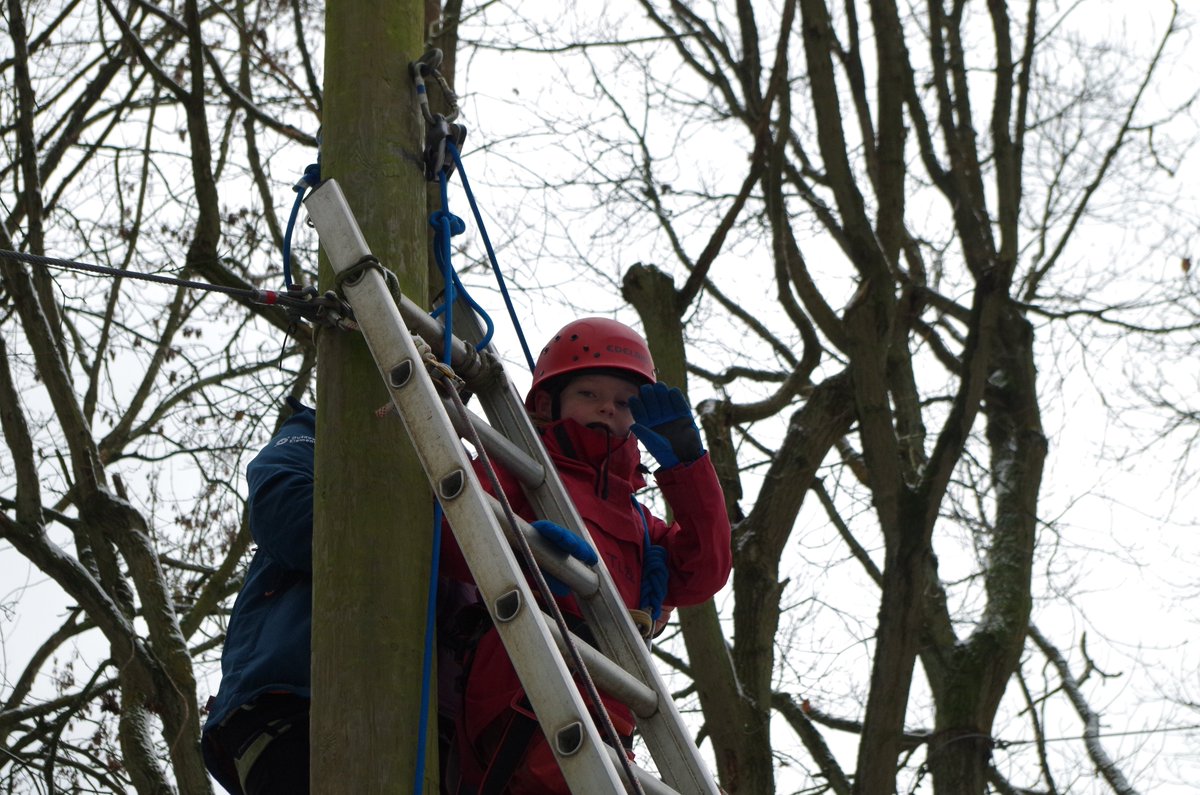 Foley Park PS Sports tweet media