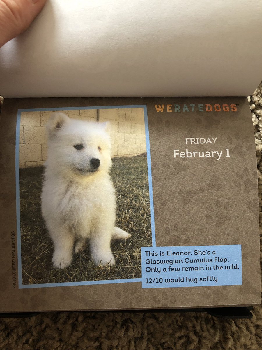 hannah_sak's tweet photo. Hey @dog_rates my mom got me your calendar for my 22nd birthday without even knowing I follow you 12/10 best mom ever https://t.co/juhugtua1A