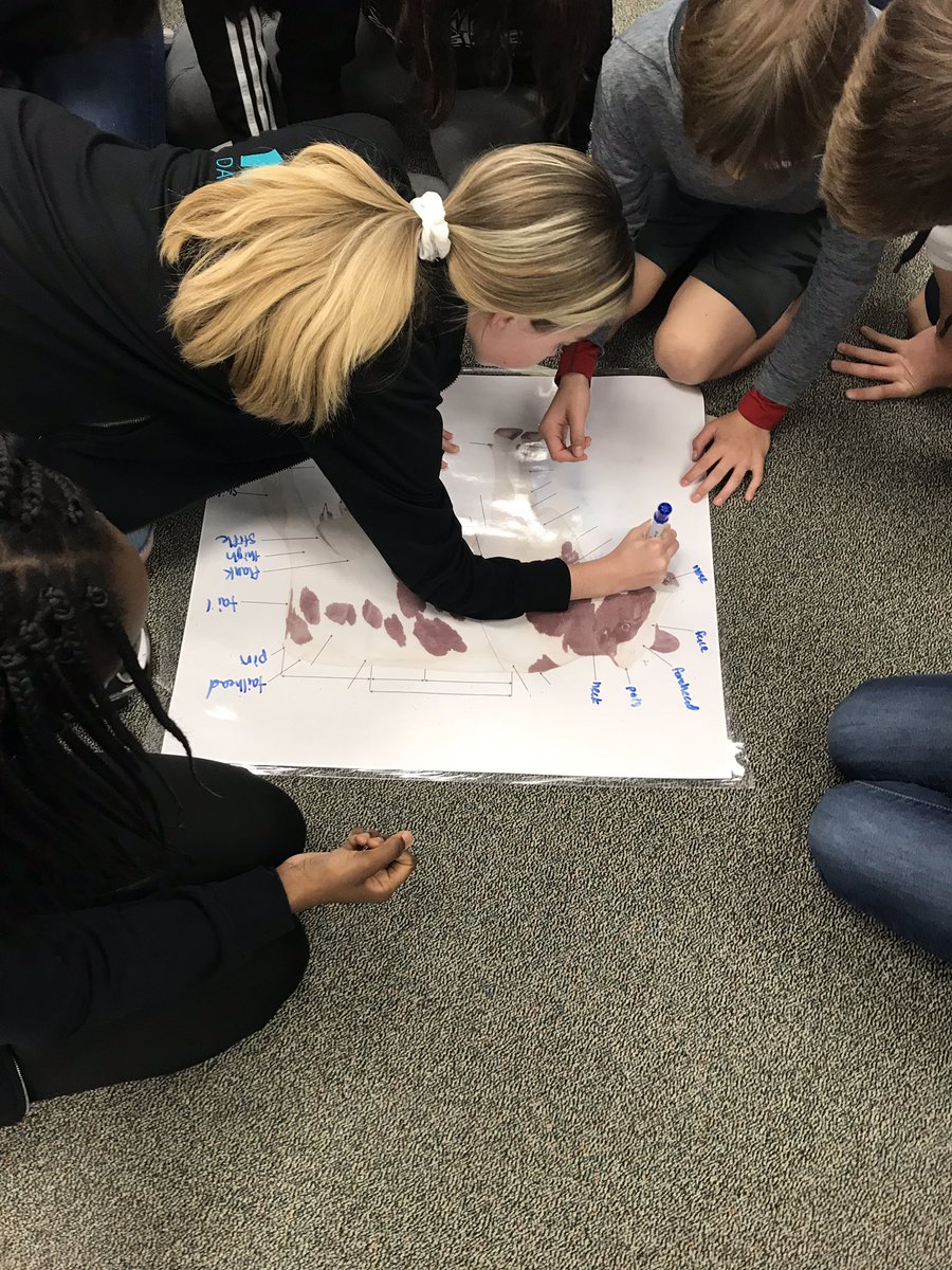 JacyClaybaker's tweet photo. Animal anatomy games to beat the clock β° #studyag #agscience #animalscience @briscoe_eagles https://t.co/6RQdgjyZjQ